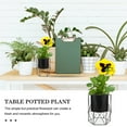 thumbnail image 5 of CTIRCHIU 1-Pack Modern Iron Flowerpot Holder Plant Stand for Small Plants, , and Cacti Indoor Outdoor, 5 of 8