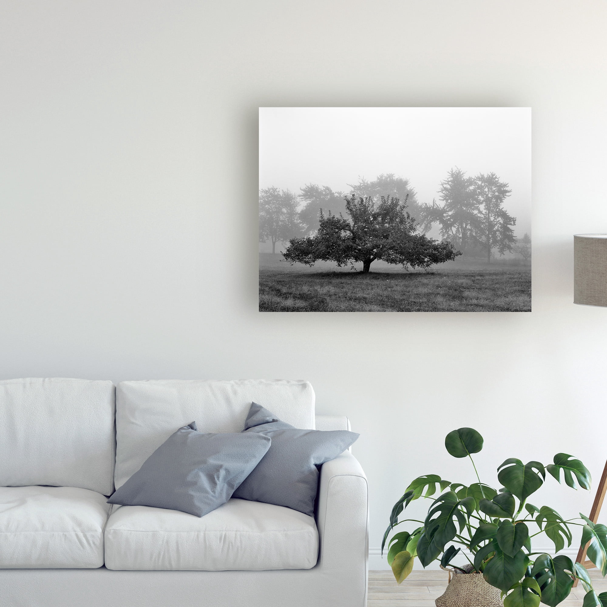 Trademark Fine Art 'Apple Tree Southfield Michigan' Canvas Art by Monte Nagler