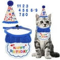 thumbnail image 1 of Decoraciones de Cumpleaños para Gatos Sombrero y Bandana Azul, 1 of 7