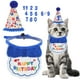 thumbnail image 1 of Decoraciones de Cumpleaños para Gatos Sombrero y Bandana Azul, 1 of 7