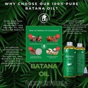 Herbal Shampoo 9-Plant–16.9 fl oz–with Cacahuananche, Sangre de Grado, Bergamot, Aloe, Rosemary & More Paraben-Free + 4 oz Batana Oil – Strengthening & Nourishing Hair Combo – Natural Hair Care BE