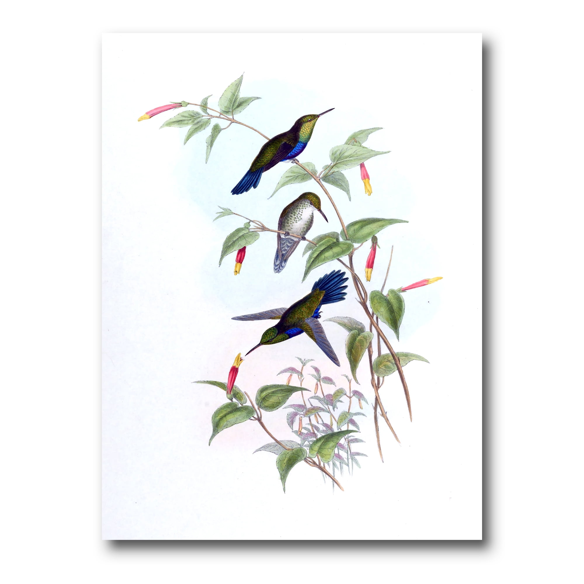 Hummingbird Canvas Prints I See Trees Of Green Red Roses Wall Art Prints Hummingbird Sign Farmhouse Vintage Wall Art Family Gift Canvas