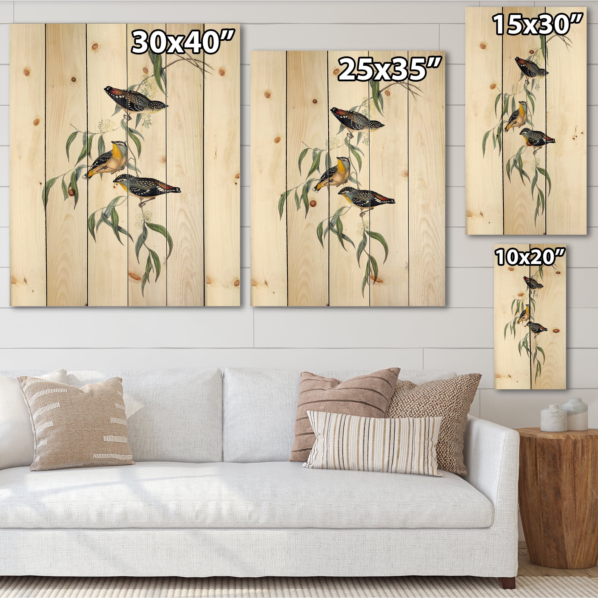 Designart 'Ancient Bird Life III' Traditional Print on Natural Pine Wood