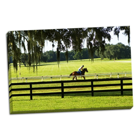 Gango Home Decor Training Day 1 by Alan Hausenflock (Ready to Hang); One 36x24in Hand-Stretched Canvas