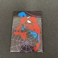thumbnail image 2 of Spiderman on Web PHOTO MAGNET 2 1/2" x 3 1/2 ITEM: 21122MV Ata-boy, 2 of 5
