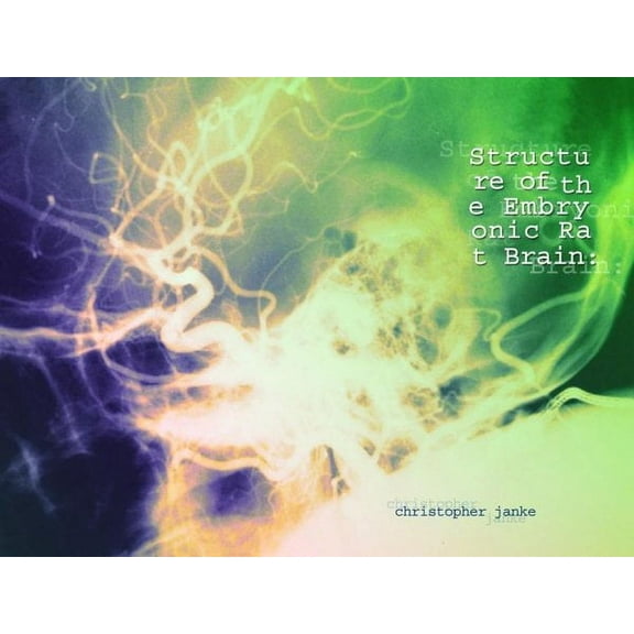 Structure of the Embryonic Rat Brain (Paperback)