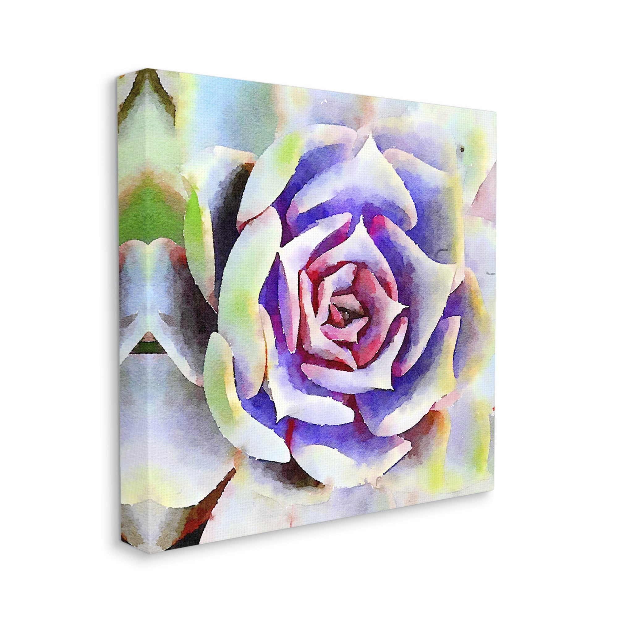 Stupell Industries Bold Succulent Watercolor Leaves Botanical & Floral Painting Gallery Wrapped Canvas Print Wall Art
