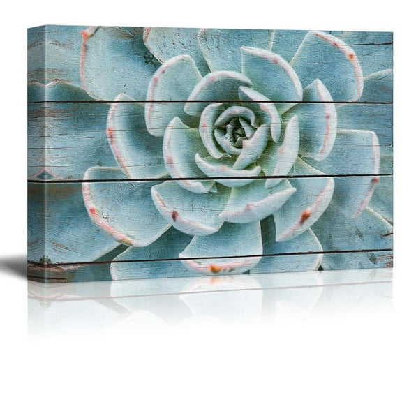 wall26 Green and Blue Succulent - Rustic Floral Arrangements - Pastels Colorful Beautiful - Wood Grain Antique - Canvas Art Home Art - 12x18 inches