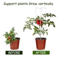 thumbnail image 4 of Conector de jaulas de soporte para plantas de jardín, soporte de vid, marco para plantas trepadoras (40 cm), 4 of 5