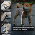 thumbnail image 2 of Raincoat para perros, poncho de drogas con capucha para perros, 4 patas chaqueta de lluvia para perros con franja reflectante, ropa de agua resistente a prueba de agua transparente esquí esquí Gafas de esquí, 2 of 5