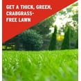 thumbnail image 3 of The Andersons Premium Crabgrass Preventer Plus Fertilizer 26-0-6 6,000 sq ft 17lbs., 3 of 6
