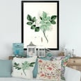thumbnail image 3 of Designart 'Ancient Blossoming Flower IV' Farmhouse Framed Art Print, 3 of 4