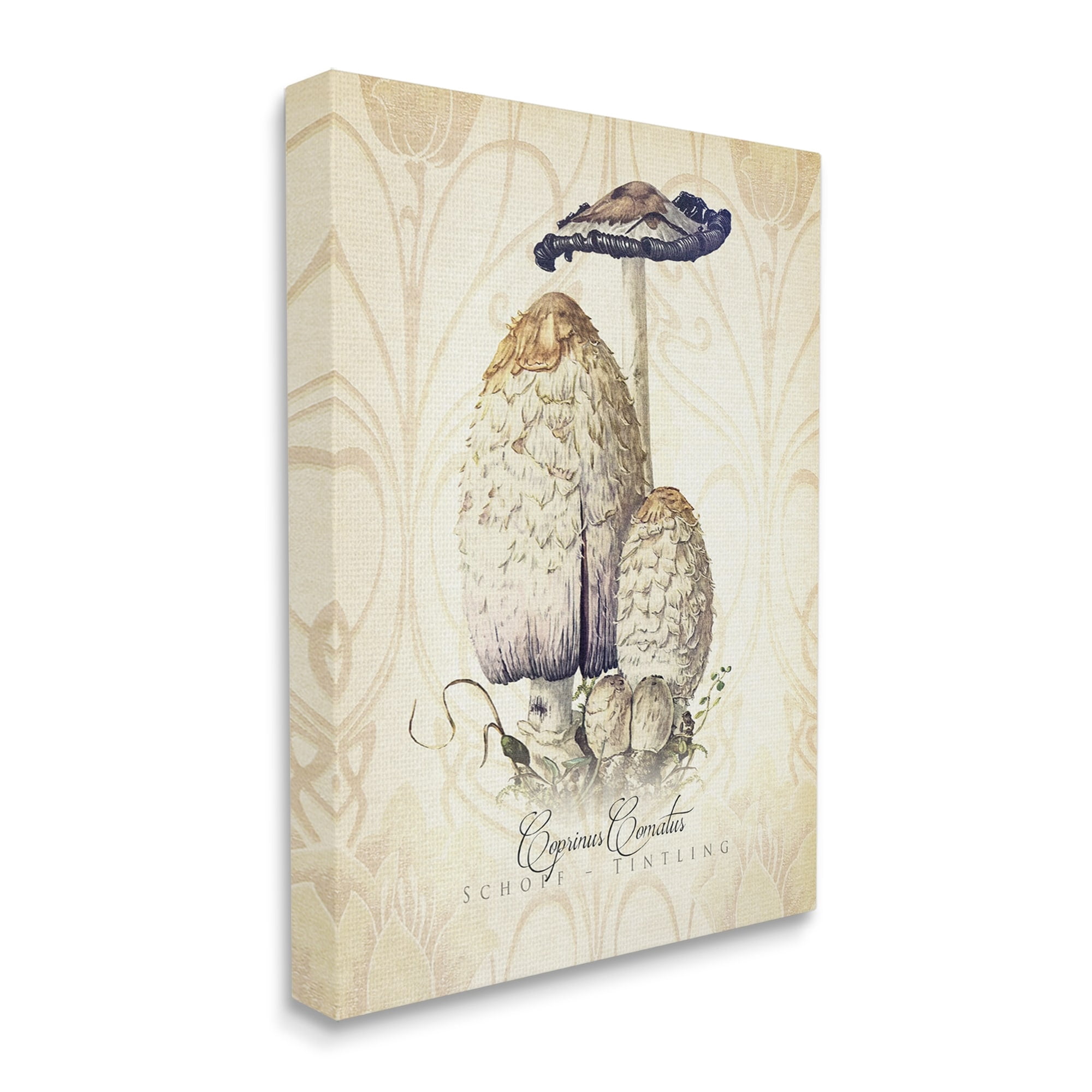 Stupell Industries Vintage Scientific Mushroom Study Botanical & Floral Painting Gallery Wrapped Canvas Print Wall Art