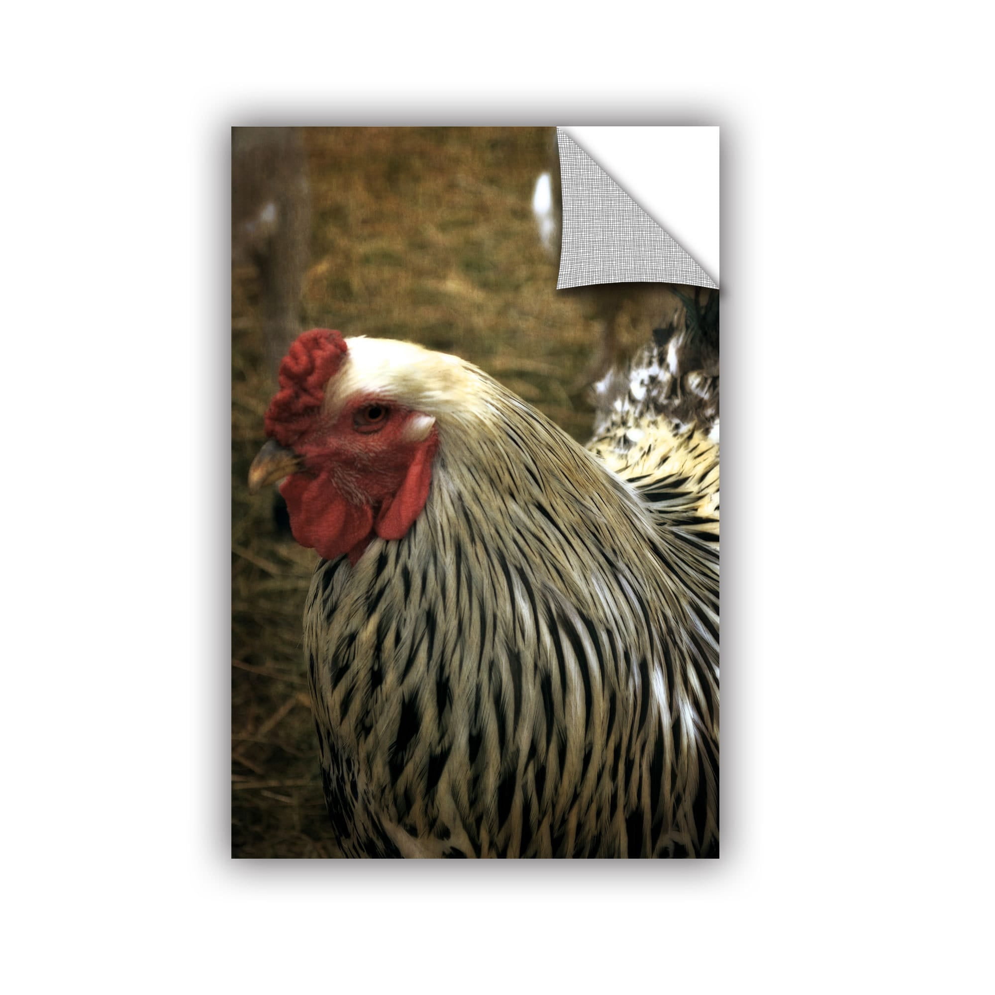 ArtWall  Kevin Calkins ' On The Farm' Artappealz Removable Wall Art