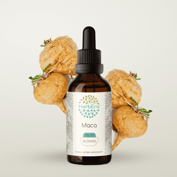 HerbEra Maca Tincture, Herbal Dietary Supplement for Energy Support, Maca (Lepidium meyenii) Dried Root Extract, Natural, Alcohol Tincture, Drops 2 oz
