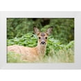 thumbnail image 3 of Susann Parker 4x24 White Modern Wood Framed Wall Art Titled - Auspicious, 3 of 5