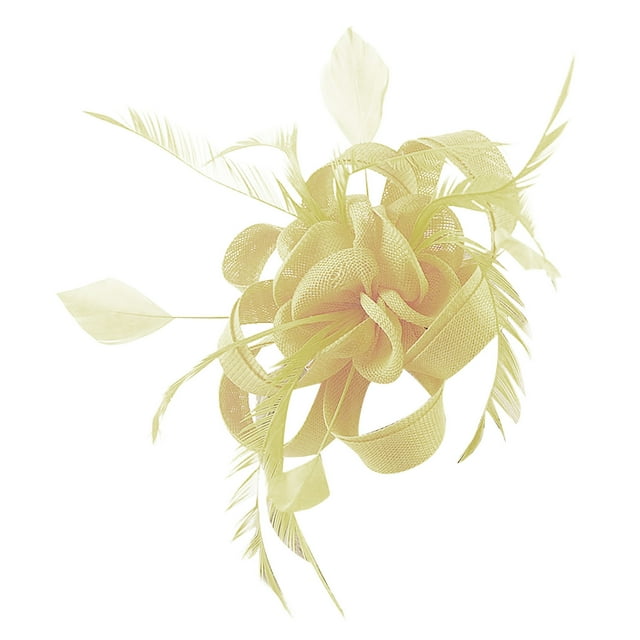 Chapeaux de Fête pour Femmes Fascinateur Chapeau Rétro pour Femmes Serre-Tête de Mariage pour Fête du Thé Chapeau Fascinateur avec Pince Fascinateurs pour Femmes Fête du Thé Chapeau de Fête du Thé pour Femmes Chapeaux de Fête du Nouvel An