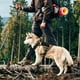 thumbnail image 5 of Arnés táctico para perros WINGOIN para perros grandes, reflectante, camuflaje, 5 of 5