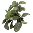 thumbnail image 1 of Aquarium Artificial Plant, Small  Rinse  Safe Underwater Plant Decoration Simulation  For Fish Tank Sunken Wood Oval Leaf, 1 of 8