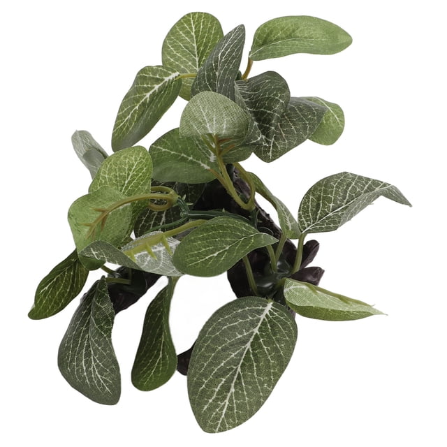 Aquarium Artificial Plant, Small Rinse Safe Underwater Plant Decoration Simulation For Fish Tank Sunken Wood Oval Leaf