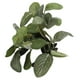 thumbnail image 4 of Planta artificial de plástico para acuario, simulación realista de pecera, hierba acuática, decoración, hoja ovalada de madera hundida, 4 of 14