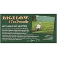 thumbnail image 5 of Bigelow Tea - Tea Green Elderberry+vitc - Case Of 6-18 Bag, 5 of 8