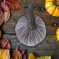 thumbnail image 4 of Decorative Velvet Pumpkins, Halloween Pumpkins, Fall Themed Party Decoration Set of 6 Soft Stretch Velvet Pumpkins for Home Decoration, Holiday Seasonal Decor, 4 of 6