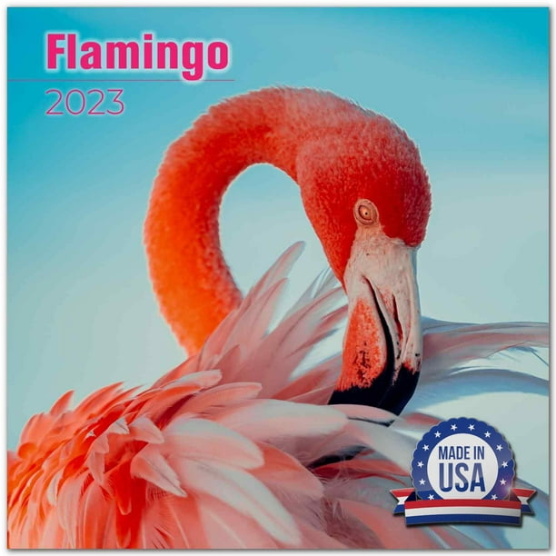 2022 2023 Flamingo Calendar - Cute Animal Bird Monthly Wall Calendar - 12 x  24 Open - Thick No-Bleed Paper - Giftable - Academic Teacher's Planner  Calendar Organizing & Planning - Made in USA 