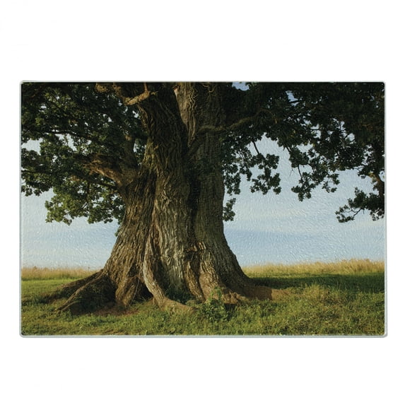 Nature Cutting Board, Majestic Oak Tree on Grass Estonia Northern Europe Rural in Summer Landscape, Decorative Tempered Glass Cutting and Serving Board, Small Size, Cocoa Fern Green, by Ambesonne
