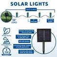 thumbnail image 2 of Novelty Lights 50 Light Solar Powered LED Outdoor Mini Light String, 12.5 Feet on Green Wire, Warm White 5mm Bulbs, Automatic Dusk to Dawn Operation, 2 of 7