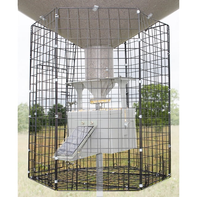 Boss Buck Hunting Large 24"x26" Heavy Duty Steel Varmint Cage Feeder Attachment