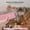 Pink-Free Size/PK, variant on Dog Cat Grooming Clippers Quiet Rechargeable Pet Hair Shaver Trimmer Kit Low Noise Cordless Waterproof for Paws Face Body Professional