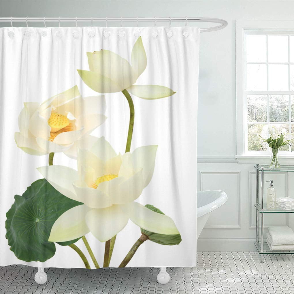 Suttom Botany Green Bloom Beautiful White Lotus Flower Bouquet Blossom Shower Curtain 60x72 Inch Walmart Com Walmart Com Suttom Botany Green Bloom Beautiful White Lotus Flower Bouquet Blossom Shower Curtain 60x72 Inch Walmart Com Walmart Com