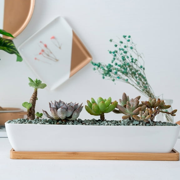 Luxshiny Ceramic Planter Pots Rectangular Flower Pot for Houseplants 1 Set