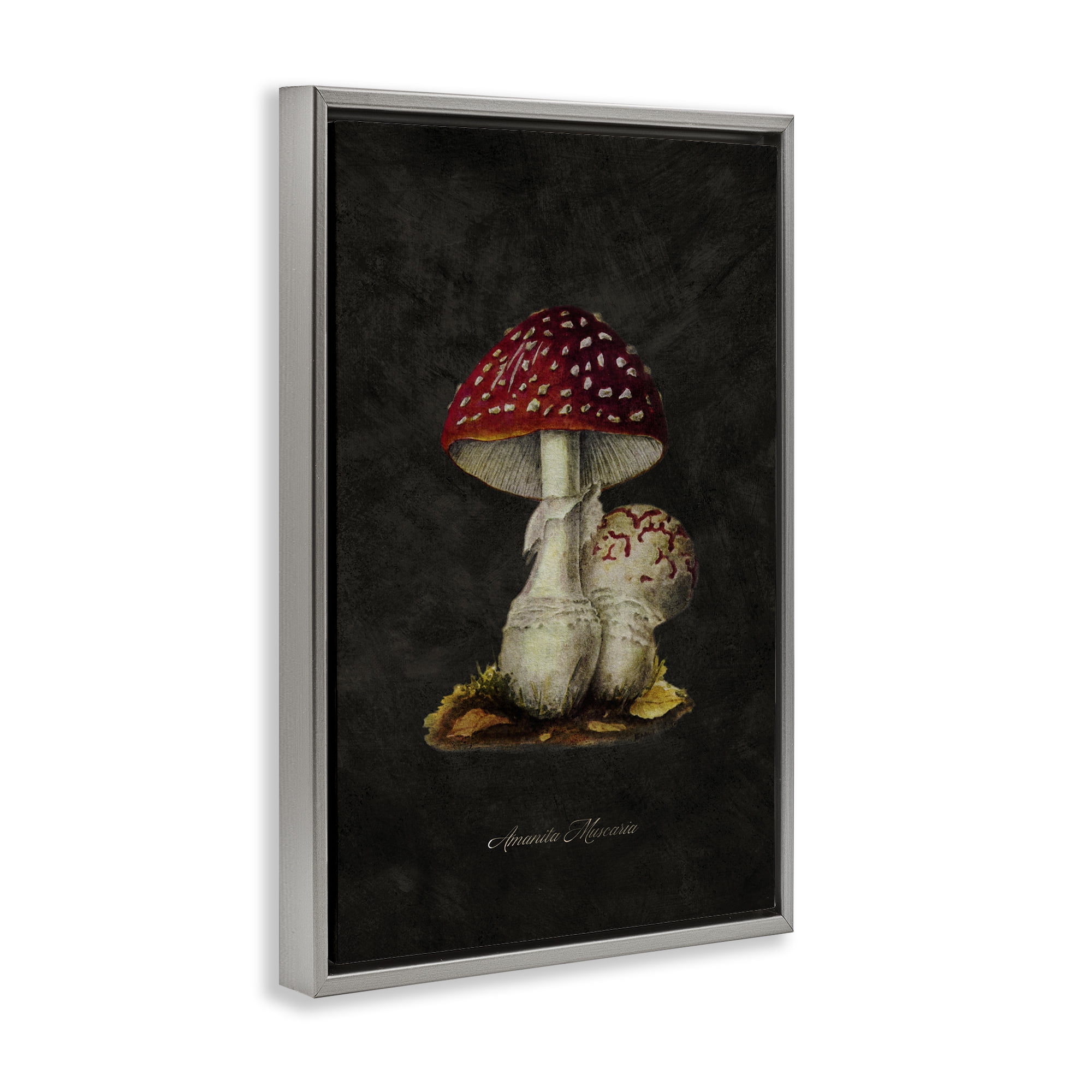 Stupell Industries Rustic Mushroom Pair Plants & Flowers Painting Gray Floater Framed Canvas Art Print Wall Art, 17 x 25