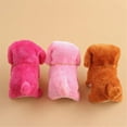 thumbnail image 3 of Electronic Interactive Dog Toy, 3 of 5