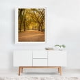 thumbnail image 2 of Autumn in Central Park, New York 01 - Manhattan New York Photography Autumn Nature Forest Landscape Botanical Rustic Travel Poster White Framed Wall Art Print 12 x 16 inches, 2 of 3