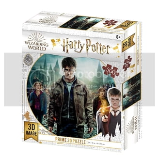 Prime 3D Harry Potter Harry & Ron Flying Over Hogwarts 300 Piece Puzzl – John Adams