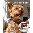 thumbnail image 3 of Dog Collars for Small Dogs, Reflective Nylon Pet Collar with Quick Release Buckle, Small Dog Collar for Boys, 3 of 9