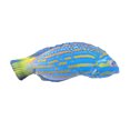 thumbnail image 3 of Cat Chew Toy Squeaky Realistic Fish Stuffed Kitten Biting Toy Pet Teething Toy, 3 of 10