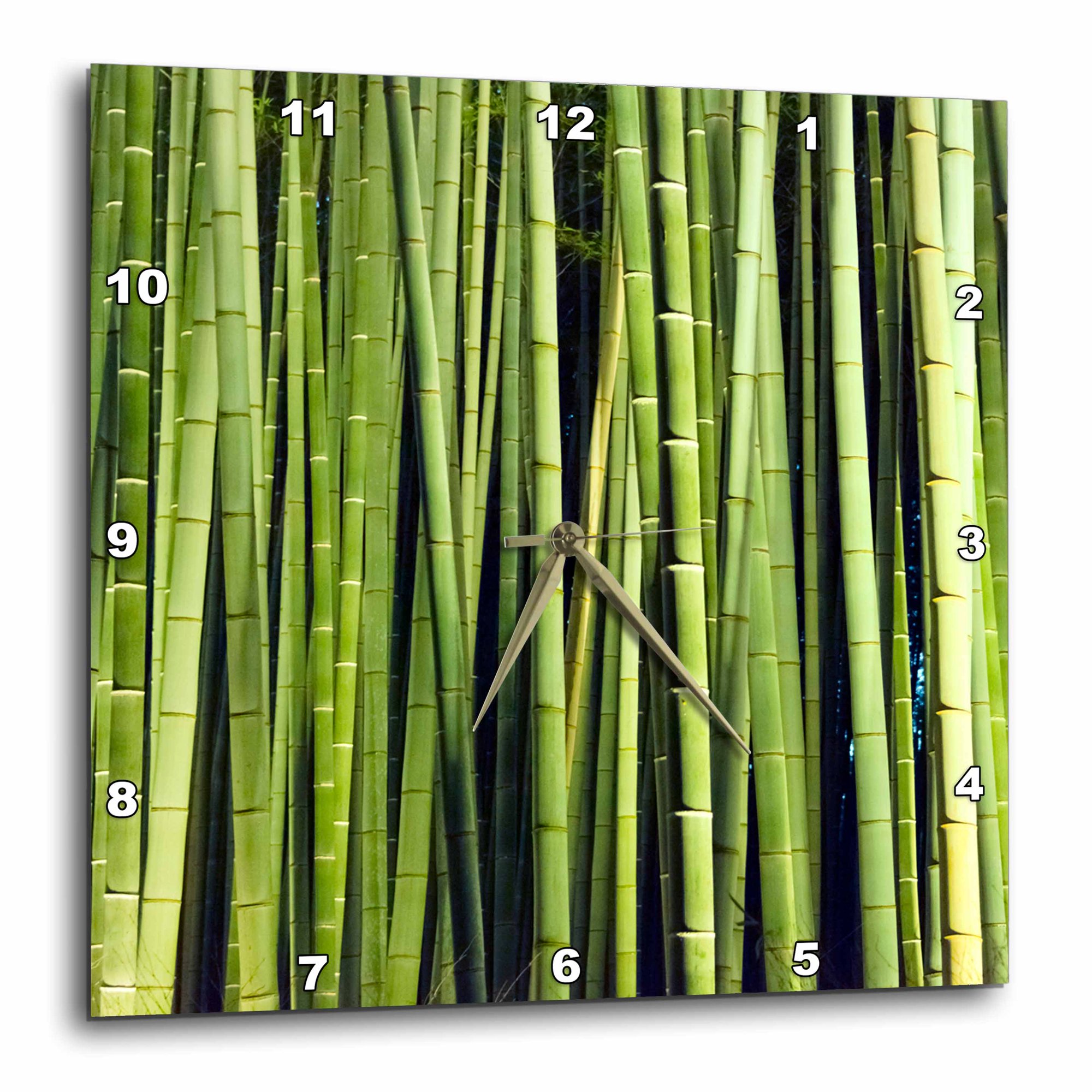 3drose, Bamboo Forest Behind Tenryuji Temple in Arashiyama, Kyoto, Japan, 10x10 Wall Clock