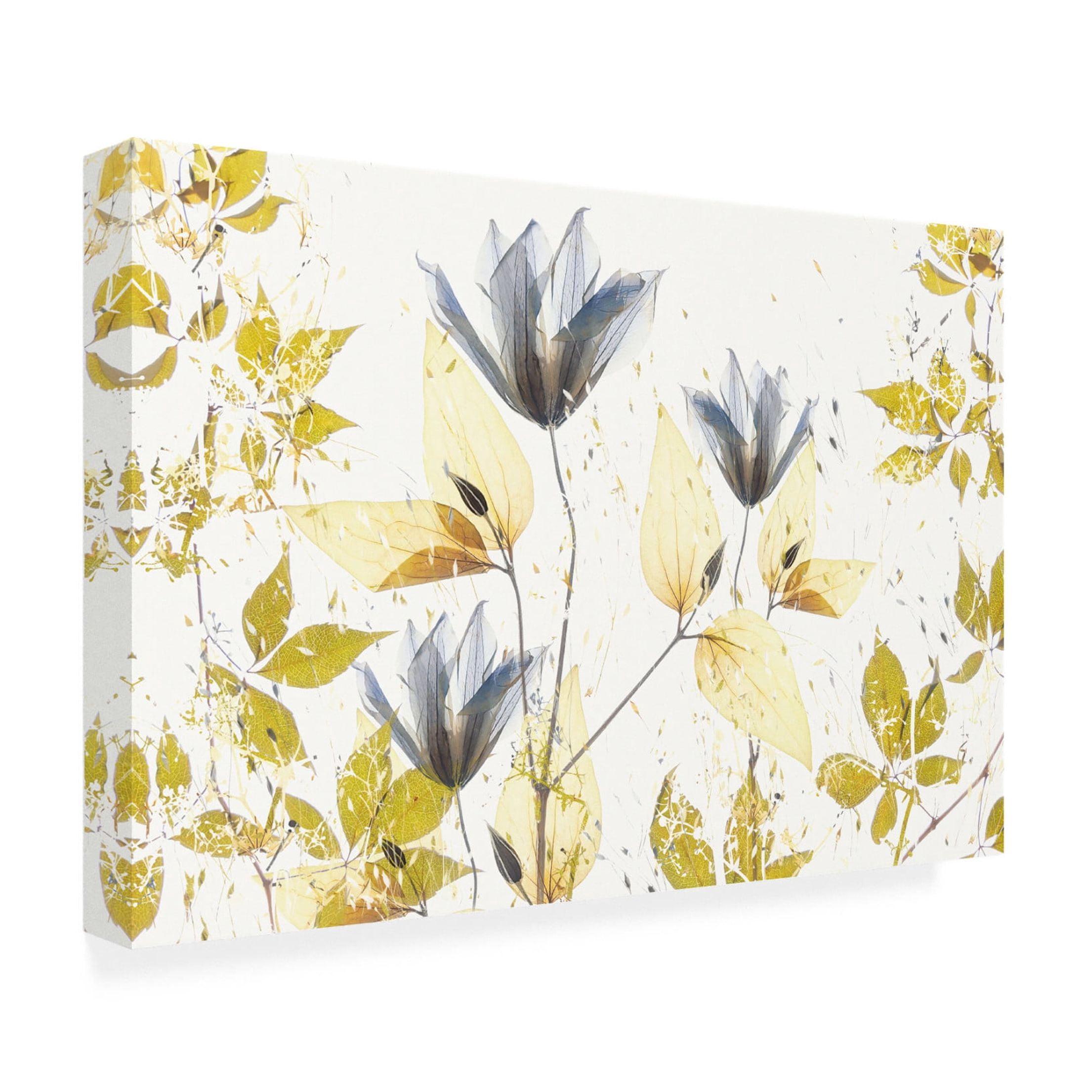 Trademark Fine Art Nel Talen  Spring vibe Canvas Wall Art