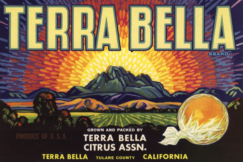 Terra Bella Brand, Terra Bella, California, Citrus Crate Label (9x12