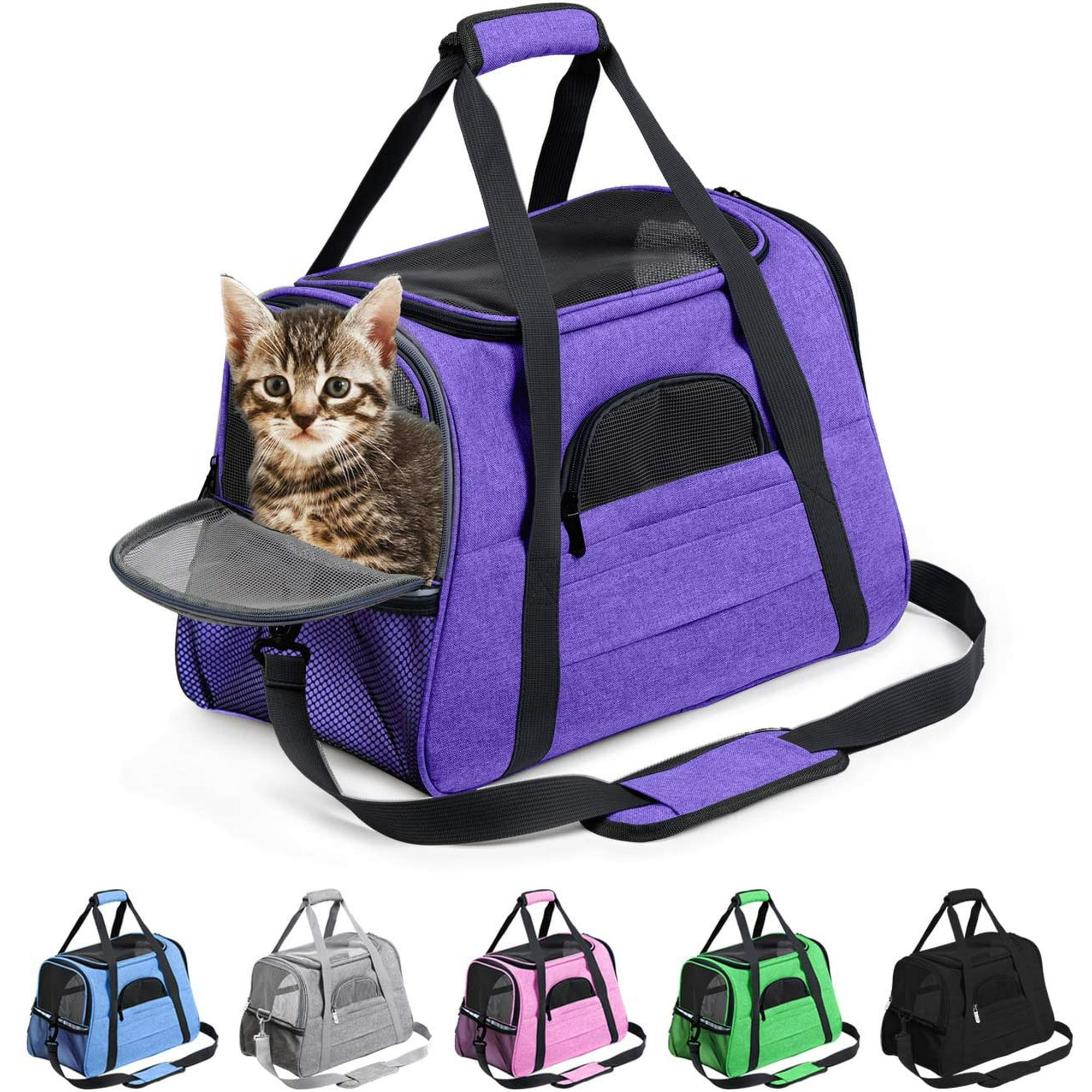 Purple pet carrier hotsell