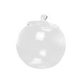 thumbnail image 1 of Glass Plant Container Decorative Micro Landscape Bottle for Tea Sugar Pepper, 1 of 8
