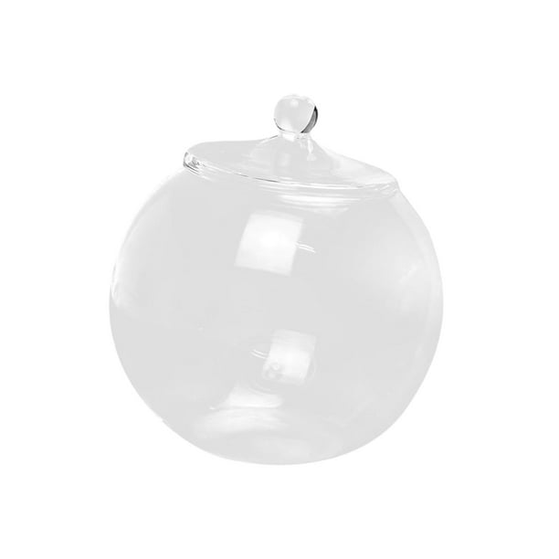 Terrario de vidrio, contenedor de plantas de vidrio, bricolaje 6.30 '' con tapa, botella decorativa de micro paisaje, tarro de maceta para té, café, Gloria Florero Micro Paisaje