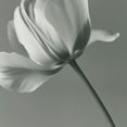 thumbnail image 6 of Acheng Large Flowers Round Tablecloth 42-46, 6 of 8