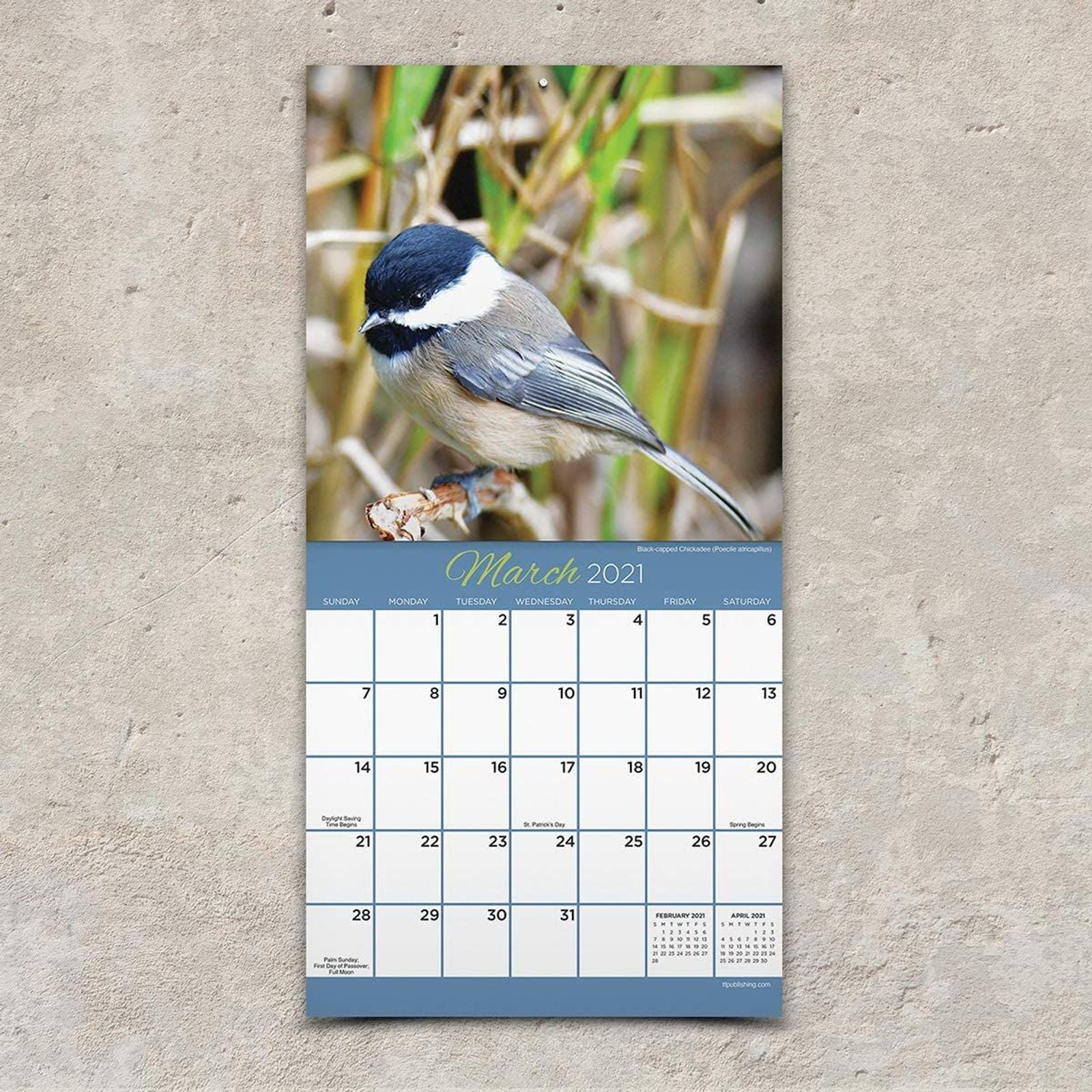 Birds 2019 Calendar 16 Month Wall Hanging 12 X 11 Inch Bird Lover Nature Animals 