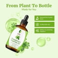 thumbnail image 3 of SVA Peppermint Piperita Essential Oil – 4 Fl Oz – 100% Natural Piperita Oil - for Diffuser, Hair Care, Face, Skin Care, Aromatherapy, Scalp and Body Massage, Soap and Candle Making - with Dropper, 3 of 5