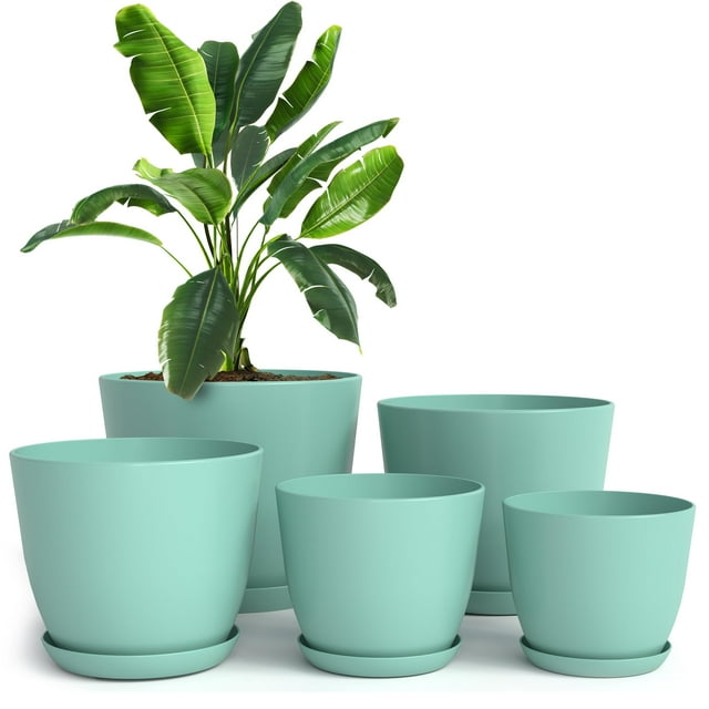 Macetas Utopia Home para drenaje interior, color aguamarina, paquete de 5